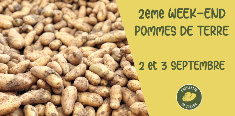 2ème week-end pommes de terre ! we pdt