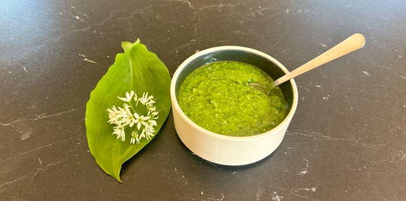 ail des ours pesto