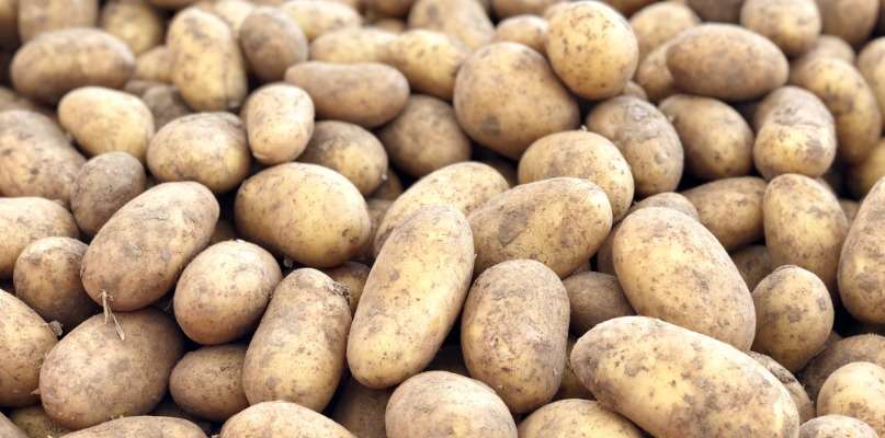 pommes de terre