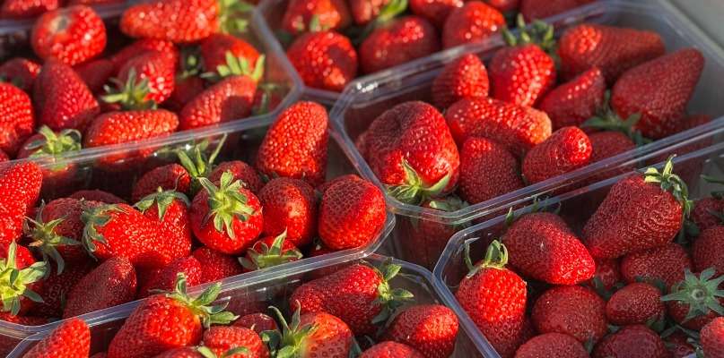 Des fraises dans notre magasin !
