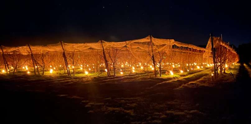 Premier allumage des bougies !