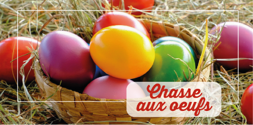 Chasse aux oeufs le 23 avril ! chasse aux oeufs
