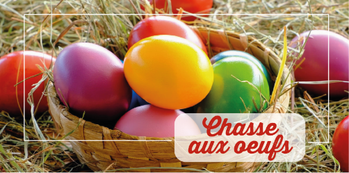 chasse aux oeufs