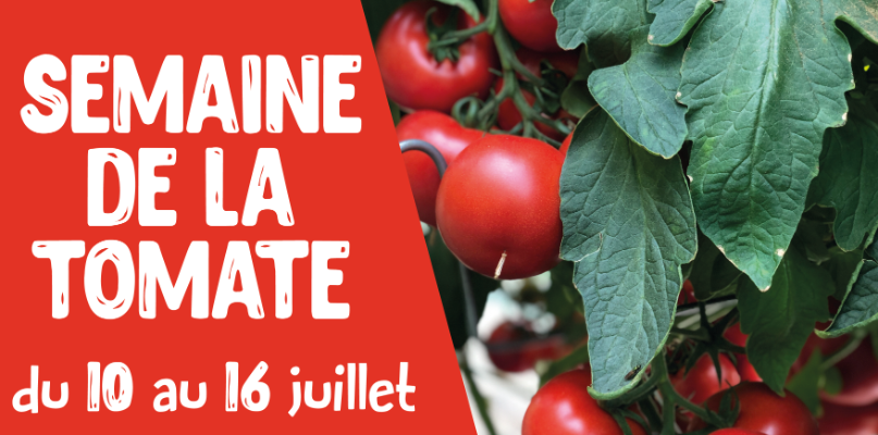 Semaine de la tomate ! semaine tomate