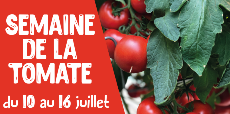 semaine tomate