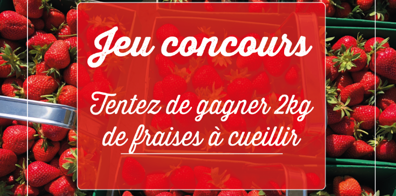 Jeux concours concours