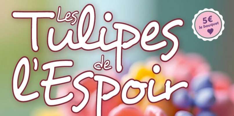 Tulipes de l'espoir à la Cueillette